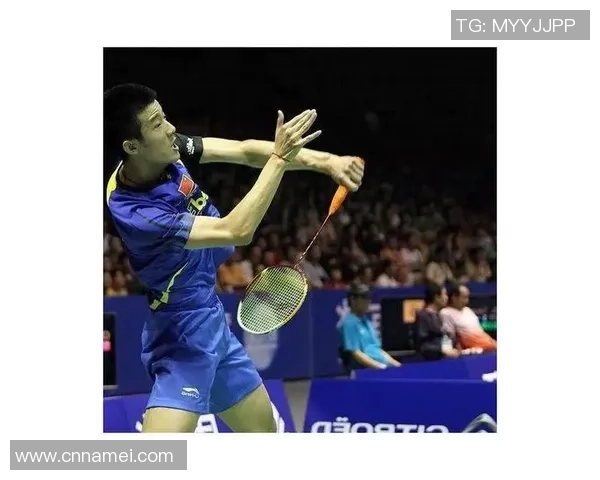 南京羽毛球队以85分稳居挑战赛积分榜首位展现强劲实力